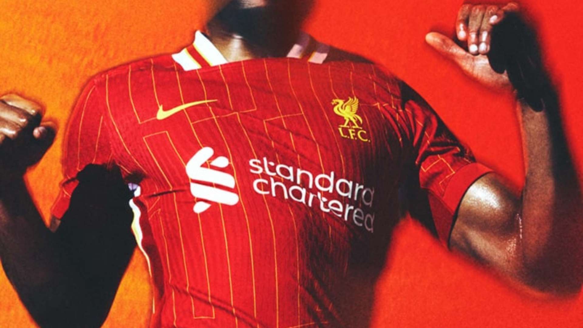 我们可以认 我们可以认