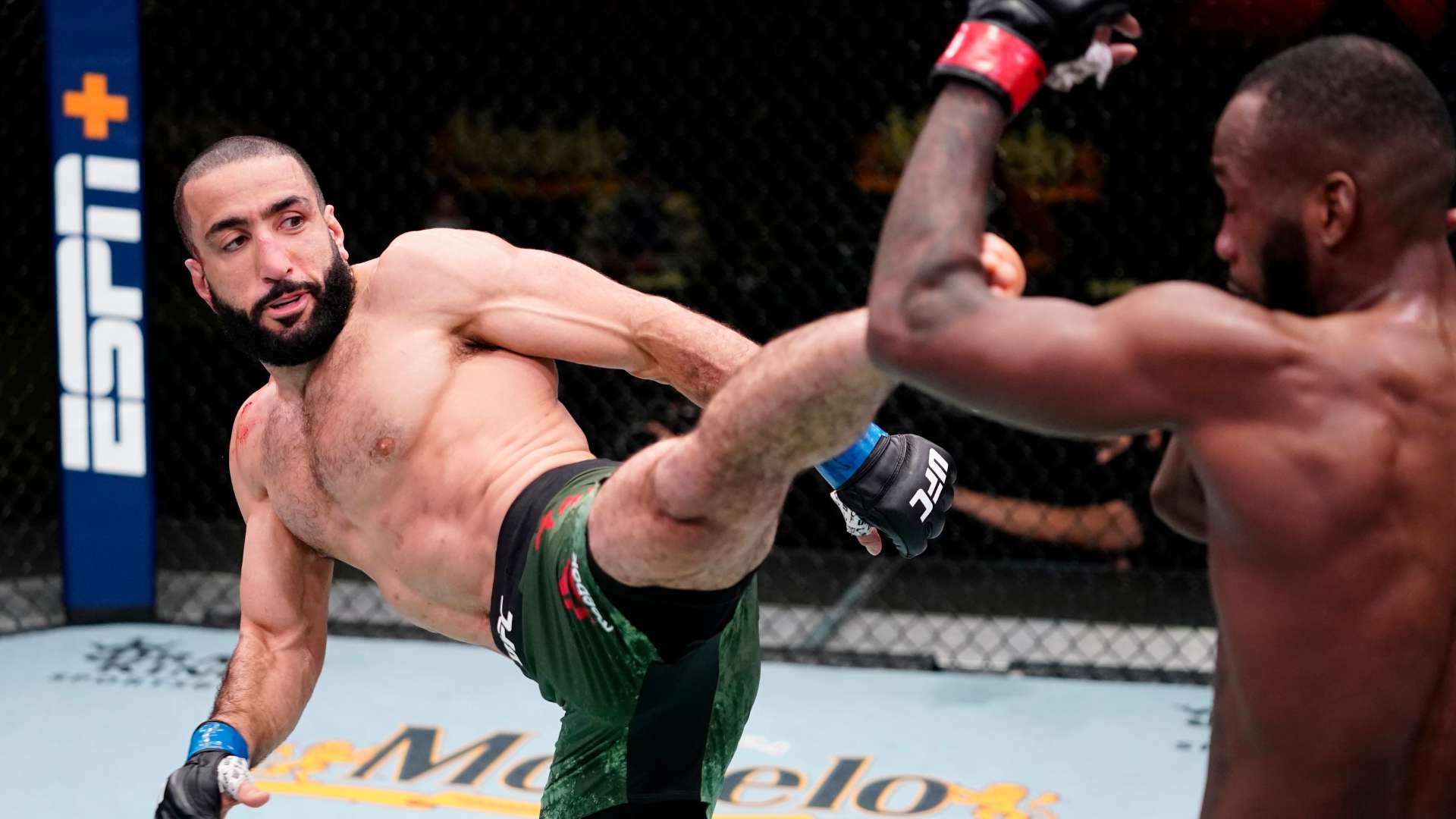 哈兰德则是 哈兰德则是