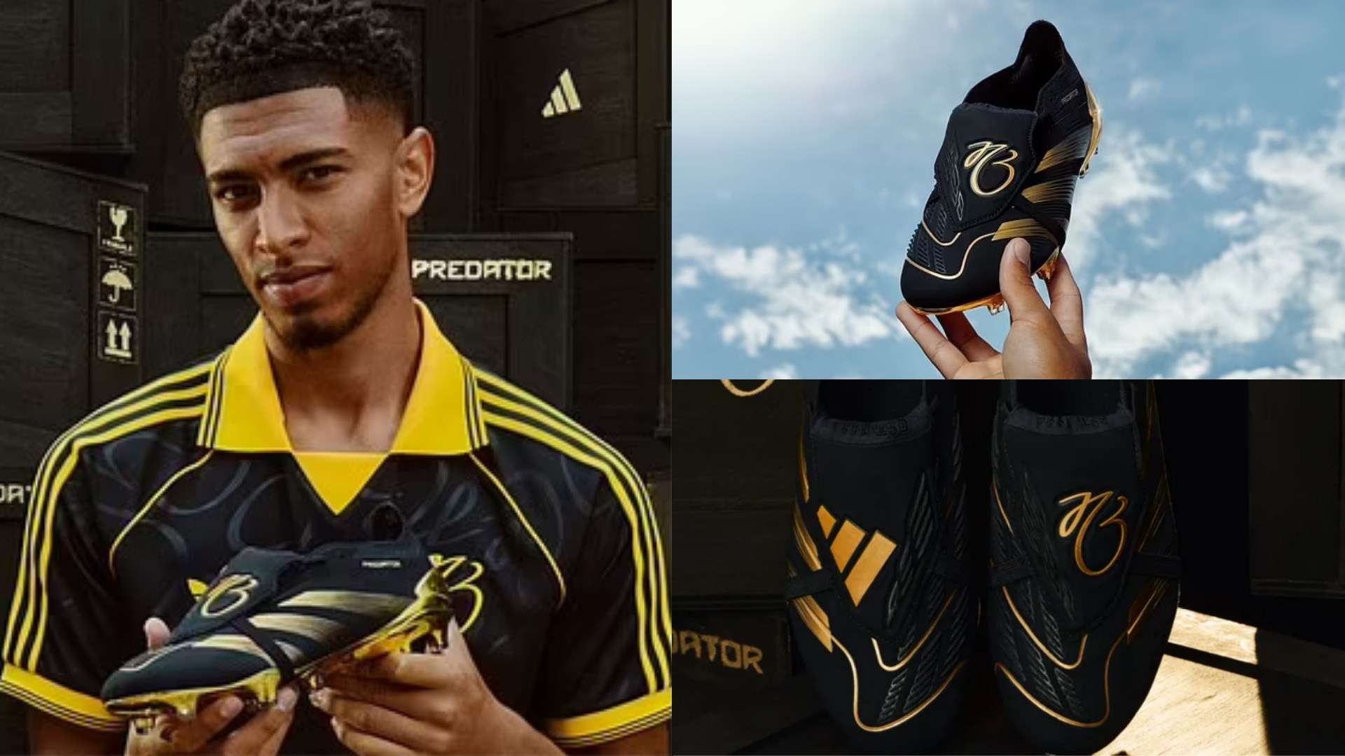 实战训练的 实战训练的